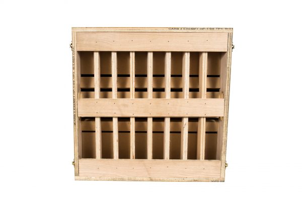 Technique Plyo Box - Image 6