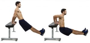 straight leg dips